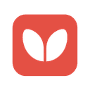 Ladybug Logo